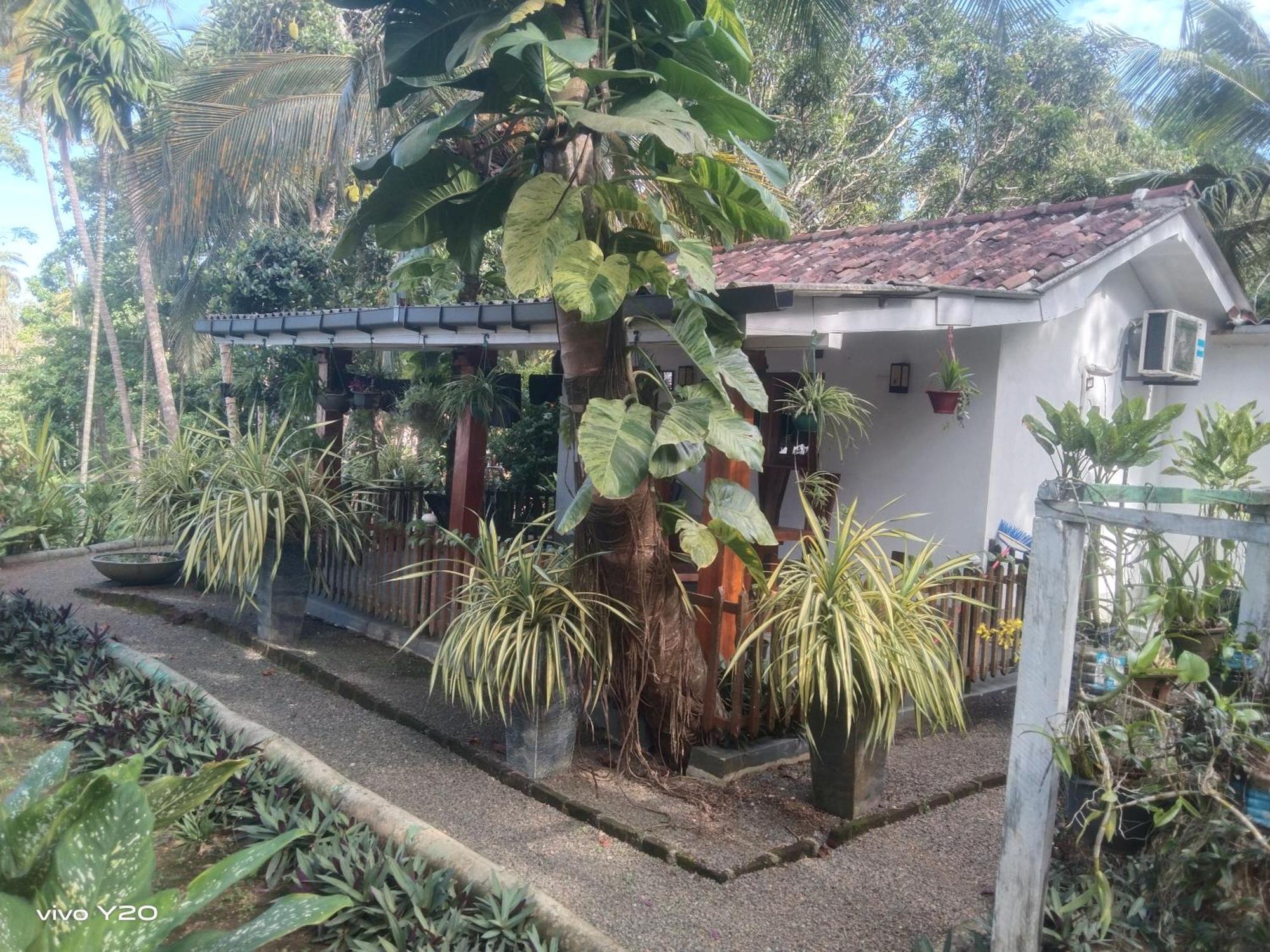 Lovers Green Villa Matara Exterior photo